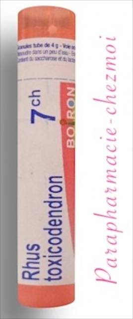 RHUS TOXICODENDRON GRANULES 7CH