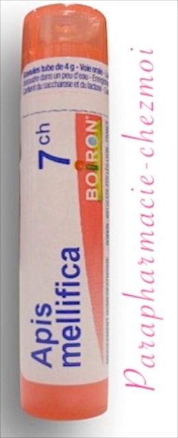 APIS MELLIFICA GRANULES 7CH