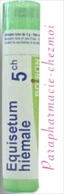 EQUISETUM HIEMALE GRANULES 5CH