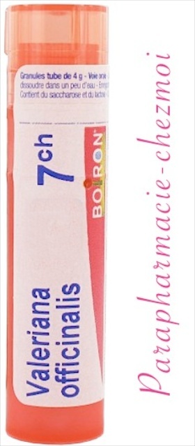 VALERIANA OFFICINALIS GRANULES 7CH