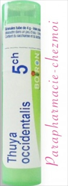 THUYA OCCIDENTALIS GRANULES 5CH