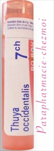 THUYA OCCIDENTALIS GRANULES 7CH