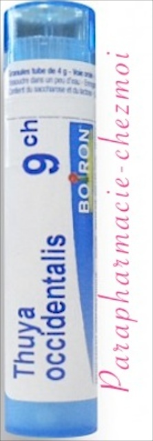 THUYA OCCIDENTALIS GRANULES 9CH