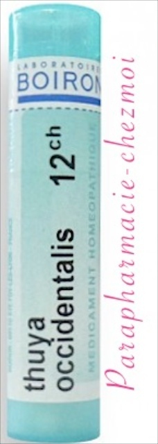 THUYA OCCIDENTALIS GRANULES 12CH