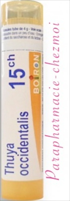 THUYA OCCIDENTALIS GRANULES 15CH