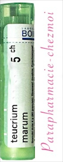 TEUCRIUM MARUM GRANULES 5CH