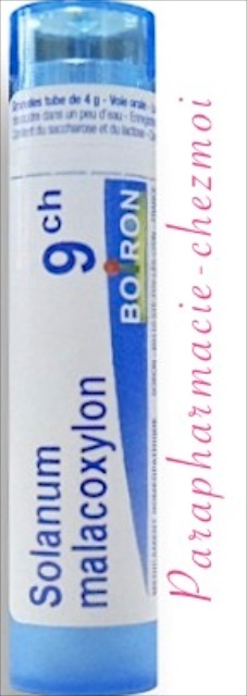 SOLANUM MALACOXYLON GRANULES 9CH