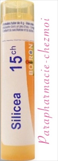 SILICEA GRANULES 15CH
