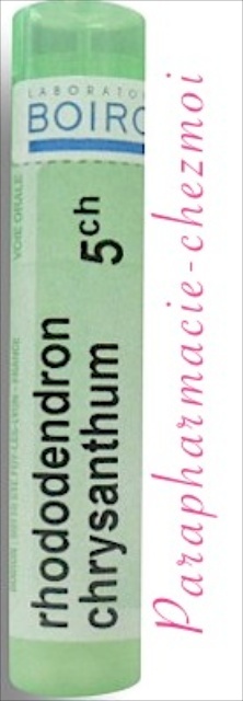 RHODODENDRON CHRYSANTHUM GRANULES 5CH