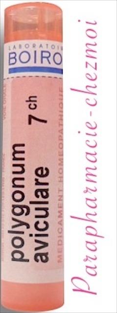 POLYGONUM AVICULARE GRANULES 7CH