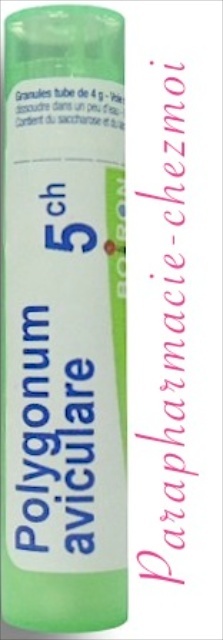 POLYGONUM AVICULARE GRANULES 5CH