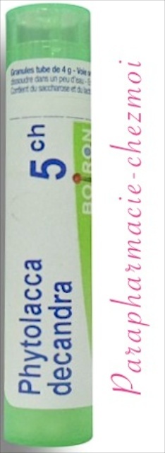 PHYTOLACCA DECANDRA GRANULES 5CH