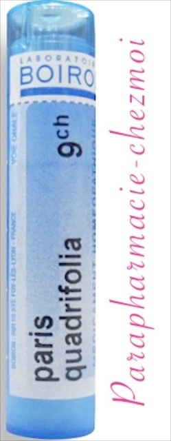 PARIS QUADRIFOLIA GRANULES 9CH