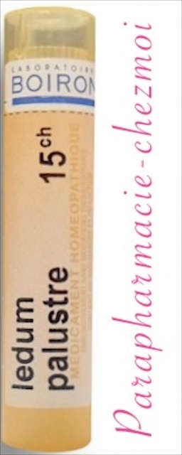 LEDUM PALUSTRE GRANULES 15CH