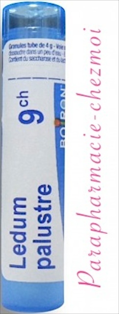 LEDUM PALUSTRE GRANULES 9CH