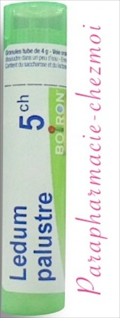 LEDUM PALUSTRE GRANULES 5CH