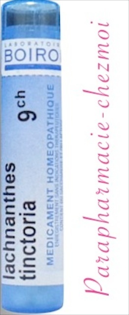 LACHNANTHES TINCTORIA GRANULES 9CH