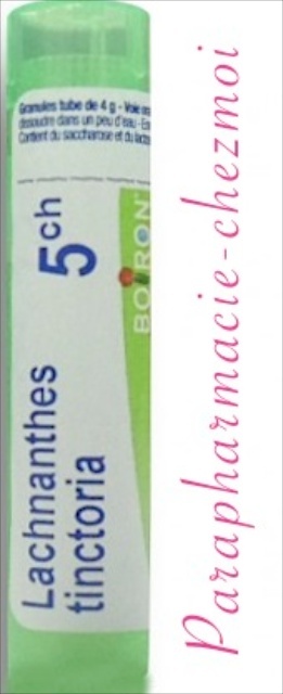 LACHNANTHES TINCTORIA GRANULES 5CH