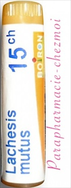 LACHNANTHES TINCTORIA DOSE 15CH