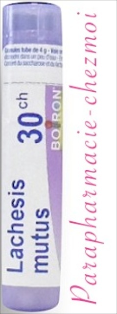LACHESIS MUTUS GRANULES 30CH