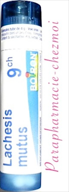 LACHESIS MUTUS GRANULES 9CH