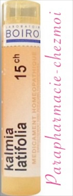 KALMIA LATIFOLIA GRANULES 15CH