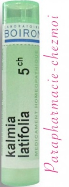 KALMIA LATIFOLIA GRANULES 5CH