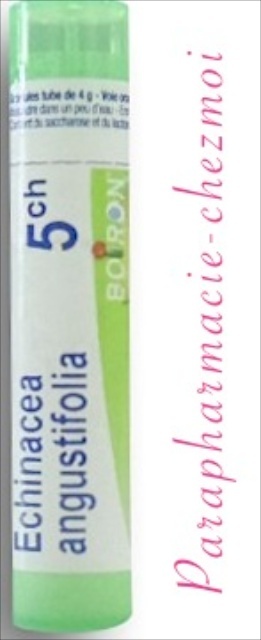 ECHINACEA ANGUSTIFOLIA GRANULES 5CH