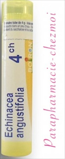 ECHINACEA ANGUSTIFOLIA GRANULES 4CH