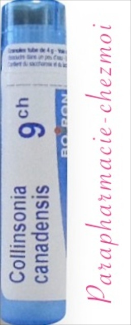 COLLINSONIA CANADENSIS GRANULES 9CH