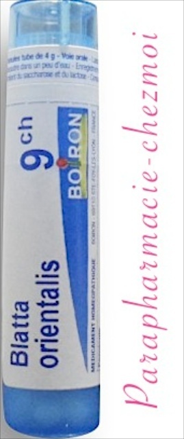BLATTA ORIENTALIS GRANULES 9CH
