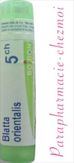 BLATTA ORIENTALIS GRANULES 5CH