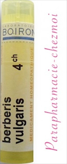 BERBERIS VULGARIS GRANULES 4CH