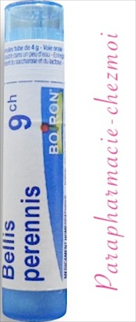BELLIS PERENNIS GRANULES 9CH