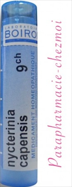 NYCKTERINIA CAPENSIS GRANULES 9CH