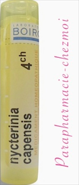 NYCKTERINIA CAPENSIS GRANULES 4CH