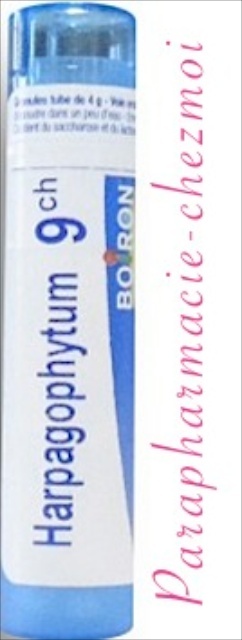 HARPAGOPHYTUM GRANULES 9CH