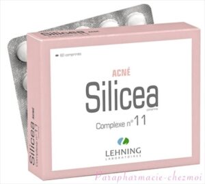 LEHNING SILICEA