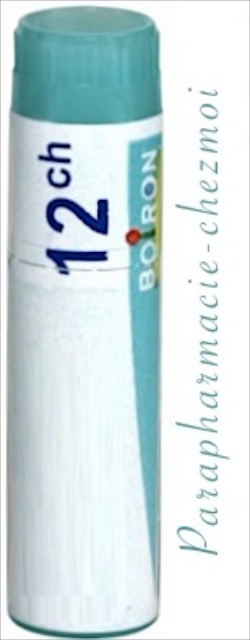 MERCURIUS SOLUBILIS DOSE 12CH