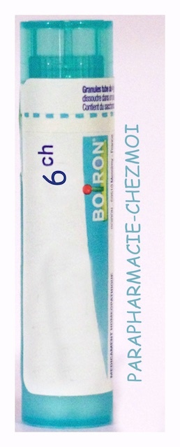 ACANTHUS MOLLIS GRANULES 6CH