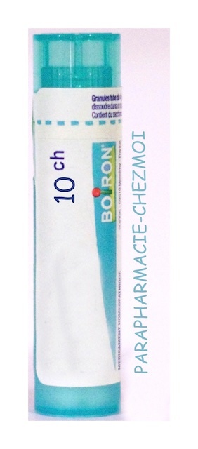 BRONCHES GRANULES 10CH