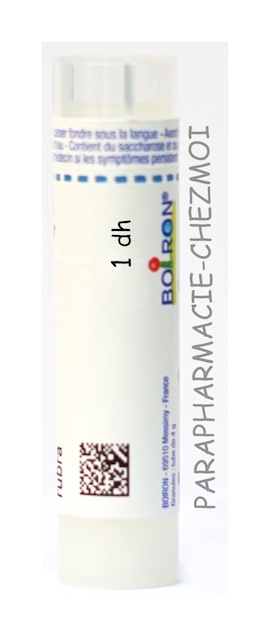 CURCUMA XANTHORRHIZA GRANULES 1DH