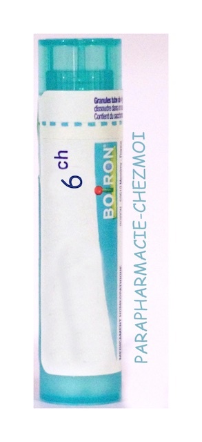 ILEX PARAGUARIENSIS GRANULES 6CH