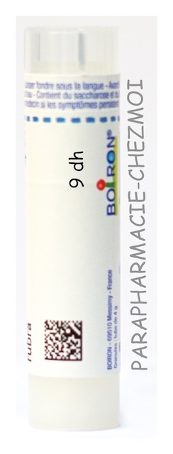 INTESTIN GRÊLE GRANULES 9DH