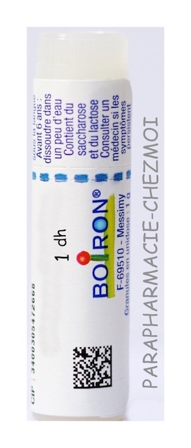 RIBES NIGRUM DOSE 1DH