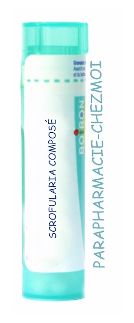 SCROFULARIA COMPOSÉ GRANULES