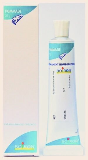 BOIRON ABROTANUM POMMADE 4DH