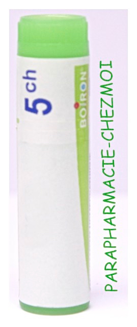 ABSINTHIUM DOSE 5CH