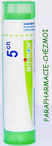 CINERARIA MARITIMA GRANULES 5CH